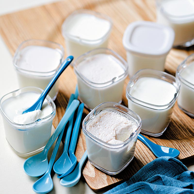 Recette Yaourts maison • Les produits laitiers
